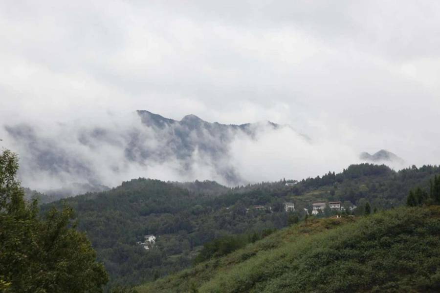 Wo们在路上丨卡车人的艰险路 - 第5张