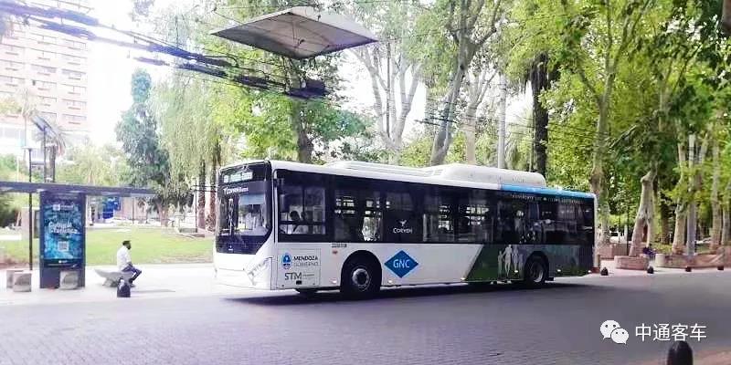 擦亮新能源客车“海外名片”,中通客车成阿根廷门多萨绿色出行首选 - 第3张 - 提加商用车网 擦亮新能源客车“海外名片”,中通客车成阿根廷门多萨绿色出行首选 - 第3张