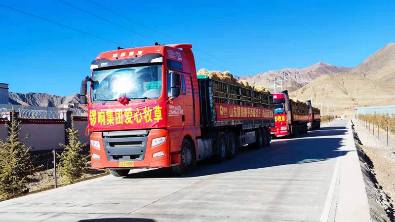 锣响爱心牧草援藏,向世界新高度致敬 - 第1张 - 提加商用车网 锣响爱心牧草援藏,向世界新高度致敬 - 第1张