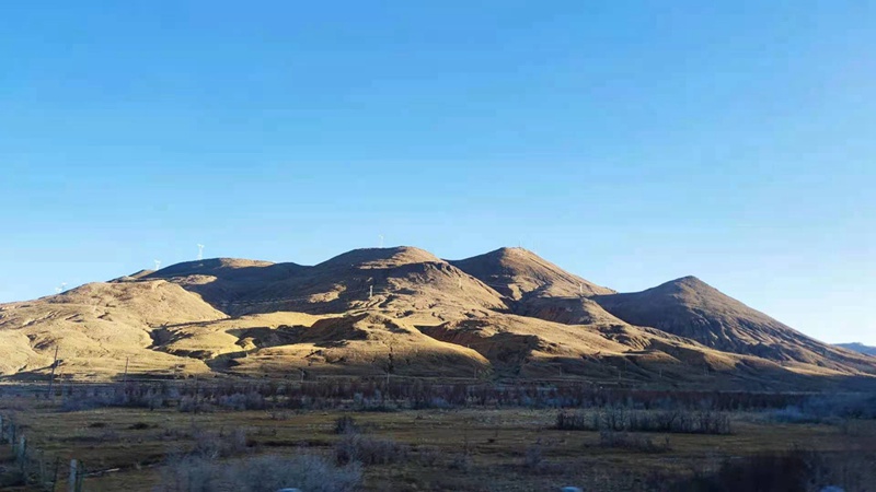 锣响爱心牧草援藏,向世界新高度致敬 - 第2张 - 提加商用车网 锣响爱心牧草援藏,向世界新高度致敬 - 第2张