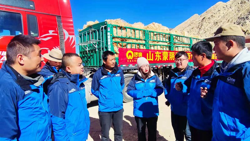 锣响爱心牧草援藏,向世界新高度致敬 - 第7张 - 提加商用车网 锣响爱心牧草援藏,向世界新高度致敬 - 第7张