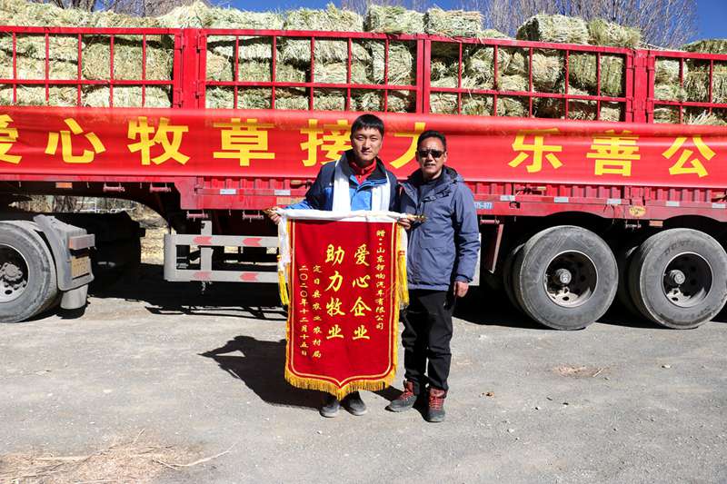 锣响爱心牧草援藏,向世界新高度致敬 - 第11张 - 提加商用车网 锣响爱心牧草援藏,向世界新高度致敬 - 第11张