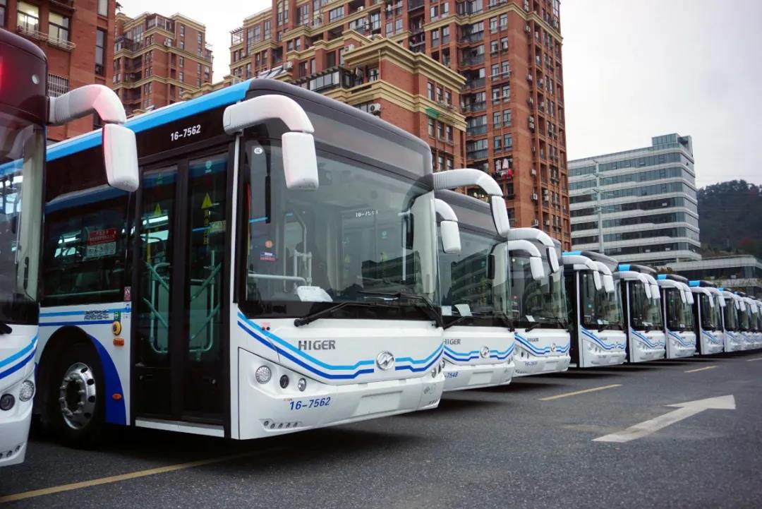 临安融杭再添新动力!30辆苏州金龙银杏装新能源车扮靓古城临安 - 第1张 - 提加商用车网 临安融杭再添新动力!30辆苏州金龙银杏装新能源车扮靓古城临安 - 第1张