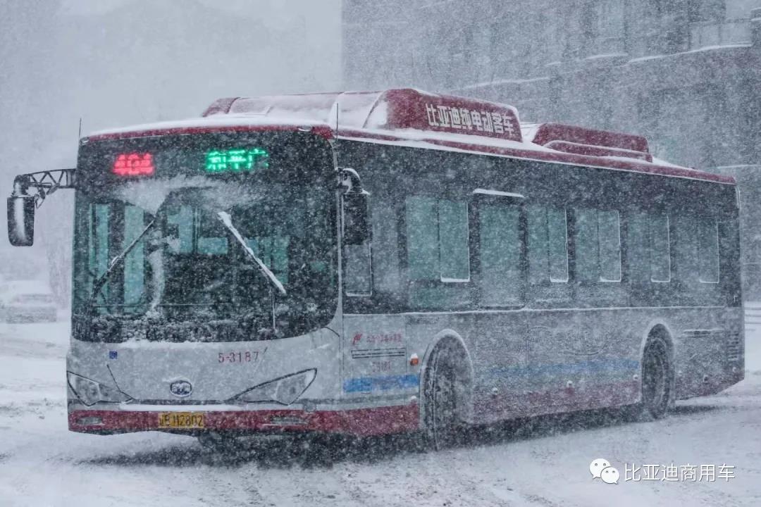 风雪无阻 不惧严寒,最抗冻的比亚迪纯电动客车! - 第5张 - 提加商用车网 风雪无阻 不惧严寒,最抗冻的比亚迪纯电动客车! - 第5张