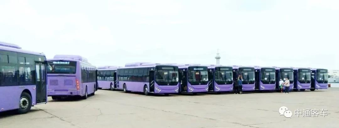 从“新能源”到“定制化”,看中通客车2020海外之路 - 第4张 - 提加商用车网 从“新能源”到“定制化”,看中通客车2020海外之路 - 第4张