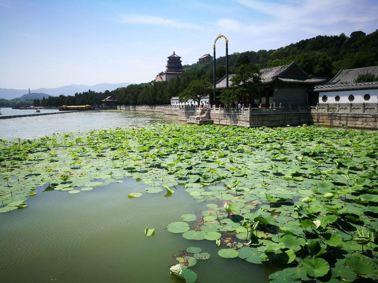 卡友眼中的城市，是这个城市拥有烟火气的起点 - 第11张