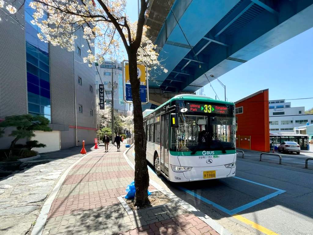 45辆纯电动公交车畅行韩国京畿道 金龙可信赖文化赢得赞誉 - 第1张 - 提加商用车网 45辆纯电动公交车畅行韩国京畿道 金龙可信赖文化赢得赞誉 - 第1张