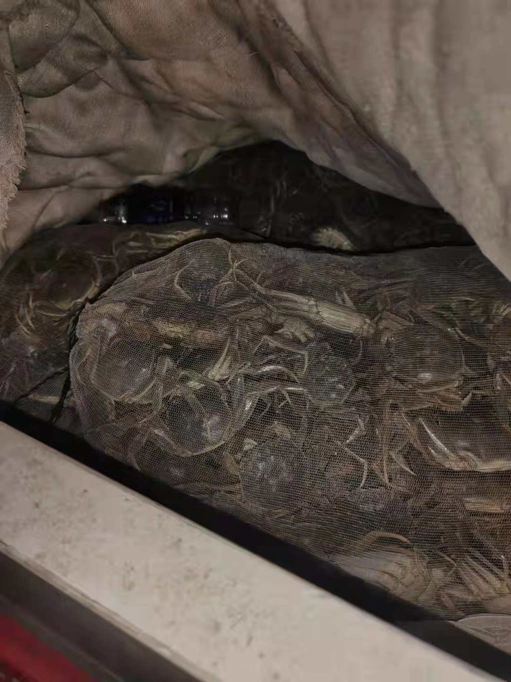 连夜奔袭5小时300公里 江淮轻卡全力保障用户用车无忧 - 第3张 - 提加商用车网 连夜奔袭5小时300公里 江淮轻卡全力保障用户用车无忧 - 第3张