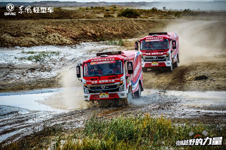 首次出征即霸气夺冠 凯普特星云成大海道隐藏黑马 - 第2张