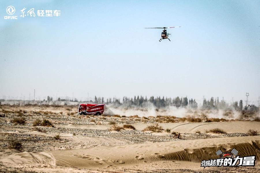 首次出征即霸气夺冠 凯普特星云成大海道隐藏黑马 - 第3张