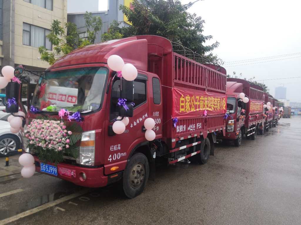 白家公子迎娶李家小姐,六台帅铃做婚车 卡友的别样婚礼 - 第1张 - 提加商用车网 白家公子迎娶李家小姐,六台帅铃做婚车 卡友的别样婚礼 - 第1张