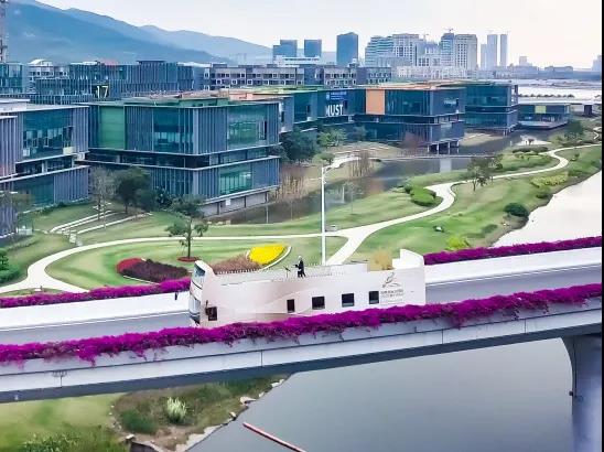 扬帆远航大湾区 格力钛“乐游巴士”奏响新年乐曲 - 第6张