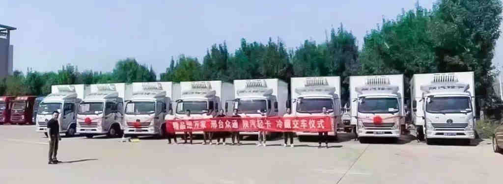 第一!在这个区域市场,潍柴轻型动力大量 “圈粉” - 第2张 - 提加商用车网 第一!在这个区域市场,潍柴轻型动力大量 “圈粉” - 第2张