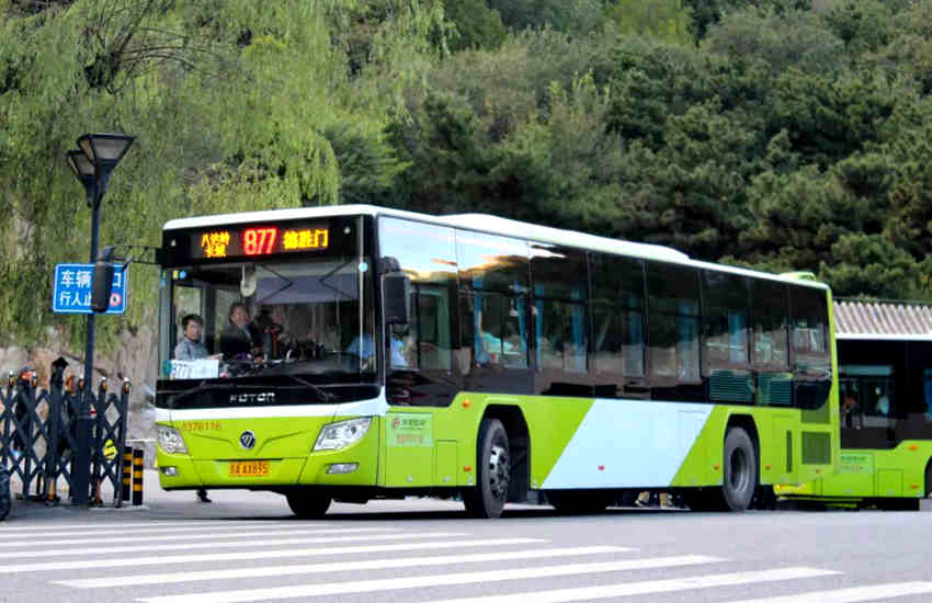 坐着开往春天的欧辉客车,探寻醉美花海长城