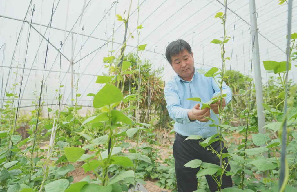 这位退伍军人,端起了一个城市学生的饭碗