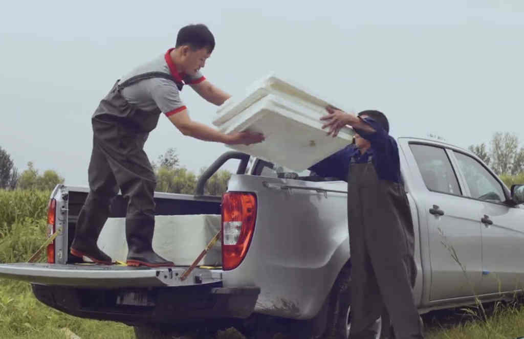 谈起“养鱼宝典”,这个爱吃鱼的省份很有发言权 - 第5张 - 提加商用车网 谈起“养鱼宝典”,这个爱吃鱼的省份很有发言权 - 第5张