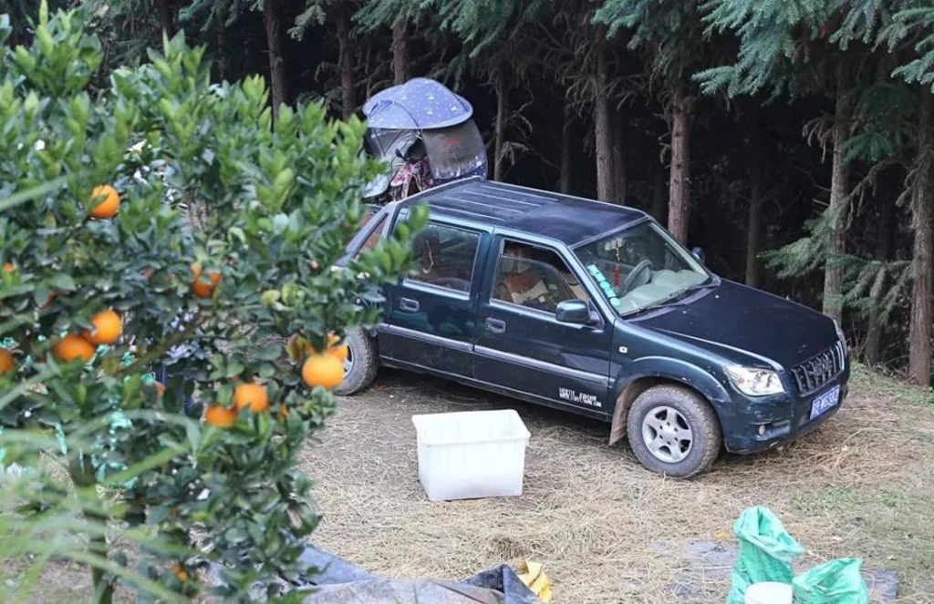 皮卡再掀解禁潮流,如何选择一辆靠谱合规皮卡? - 第3张 - 提加商用车网 皮卡再掀解禁潮流,如何选择一辆靠谱合规皮卡? - 第3张