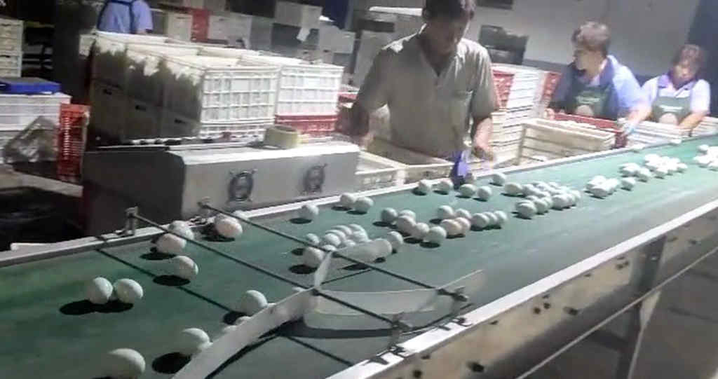 1号信赖  老朋友江淮1卡骏铃 让马老板订车不犹豫 - 第2张 - 提加商用车网 1号信赖  老朋友江淮1卡骏铃 让马老板订车不犹豫 - 第2张