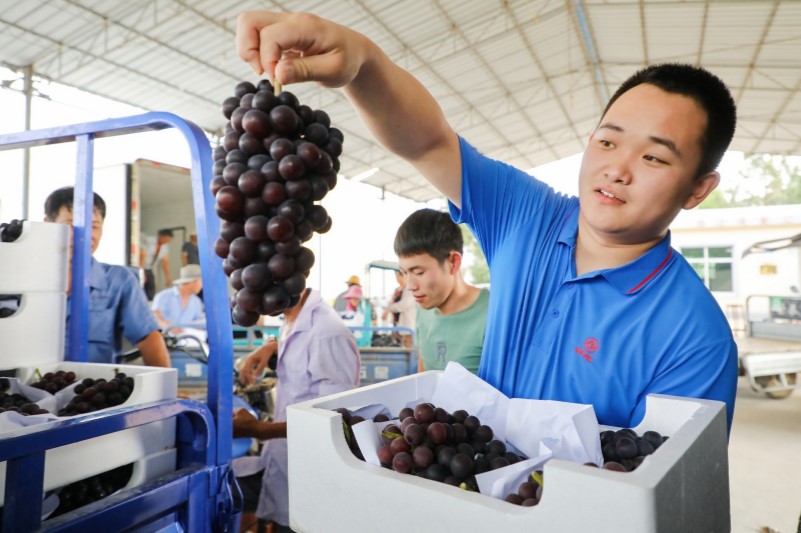 诠释真正的内外兼修 东风凯普特星云“挑战万里送鲜”温州站大放异彩 - 第2张 - 提加商用车网 诠释真正的内外兼修 东风凯普特星云“挑战万里送鲜”温州站大放异彩 - 第2张