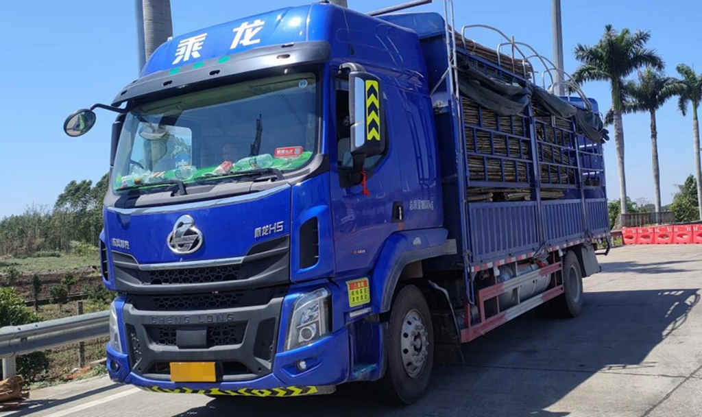 乘龙H5绿通房车如何持续俘获多年老粉芳心？ - 第1张