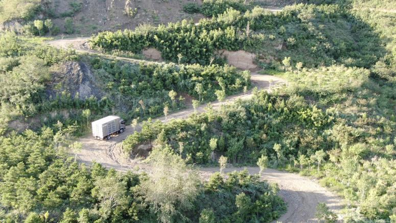 轻卡天花板  东风多利卡超能走进章丘 - 第5张 - 提加商用车网 轻卡天花板  东风多利卡超能走进章丘 - 第5张