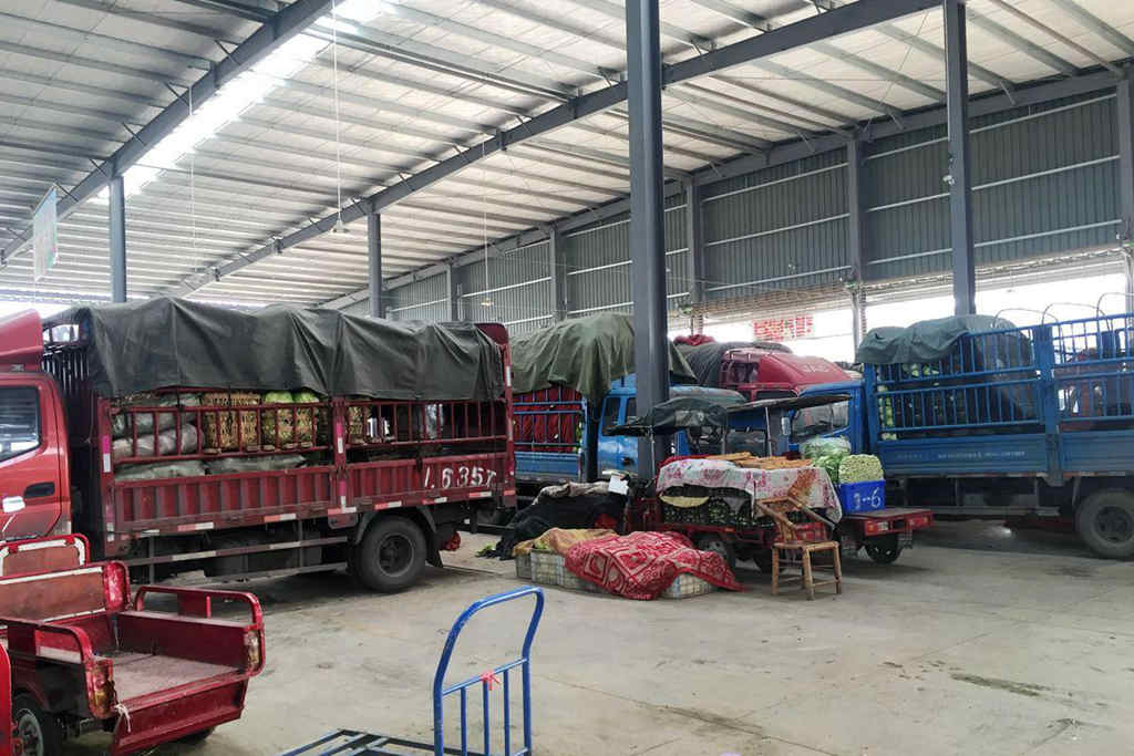 云南区域市占率高达19%西南绿通客户为何都选潍柴WP2.5N发动机? - 第1张 - 提加商用车网 云南区域市占率高达19%西南绿通客户为何都选潍柴WP2.5N发动机? - 第1张