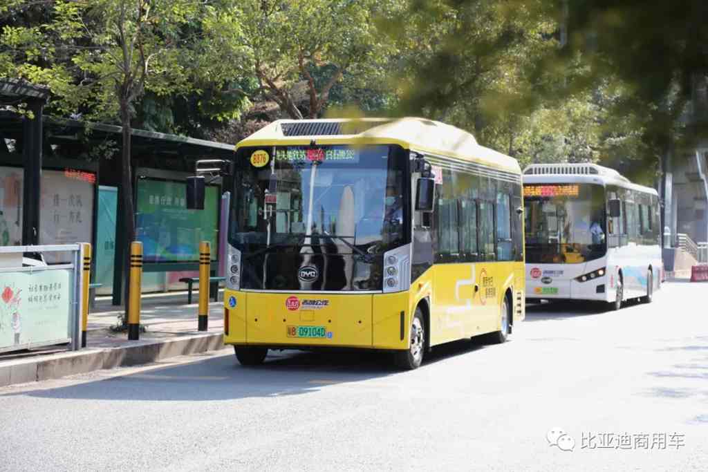 比亚迪亮相第二十四届高交会之2022世界未来商用车博览会 - 第10张