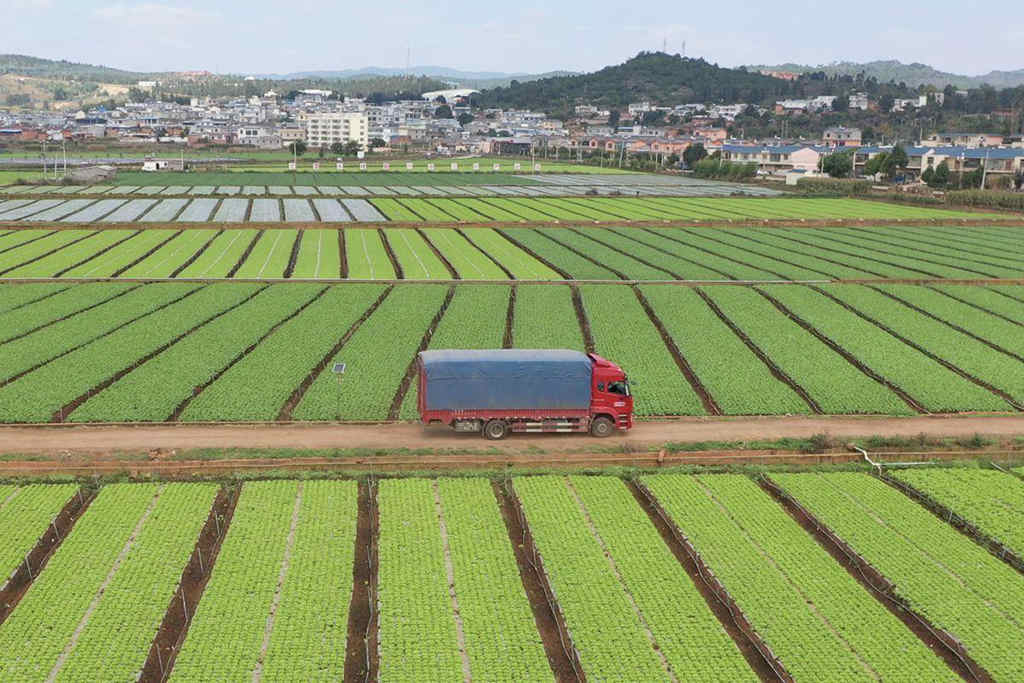 云南区域市占率高达19%西南绿通客户为何都选潍柴WP2.5N发动机? - 第2张 - 提加商用车网 云南区域市占率高达19%西南绿通客户为何都选潍柴WP2.5N发动机? - 第2张