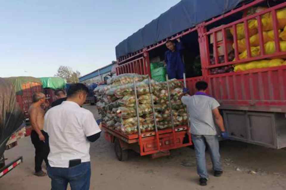 河南绿通卡友:高端新中卡,智能德沃斯是我的第二个家