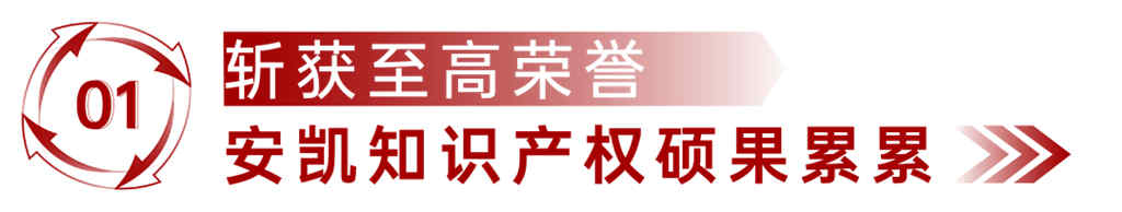 又一国字号殊荣！安凯客车获评国家知识产权示范企业 - 第2张