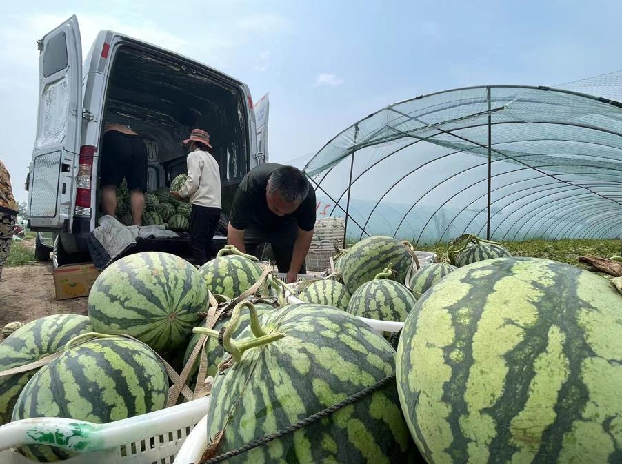 “不务正业”的贾利君 做水果生意居然卖出去40多辆御风 - 第3张 - 提加商用车网 “不务正业”的贾利君 做水果生意居然卖出去40多辆御风 - 第3张