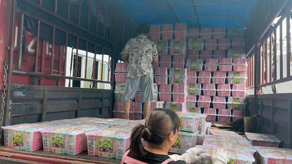 90后年轻用户工作休闲两不误 开德沃斯能跑绿通还能去钓鱼? - 第2张 - 提加商用车网 90后年轻用户工作休闲两不误 开德沃斯能跑绿通还能去钓鱼? - 第2张
