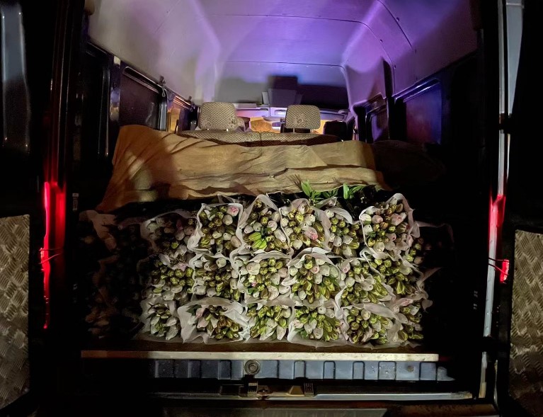 恰是花农采摘时 东风御风成为施挎所的“护花使者” - 第2张 - 提加商用车网 恰是花农采摘时 东风御风成为施挎所的“护花使者” - 第2张