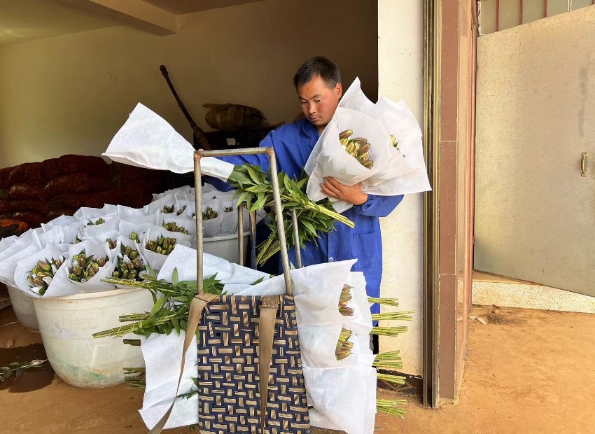 恰是花农采摘时 东风御风成为施挎所的“护花使者” - 第4张 - 提加商用车网 恰是花农采摘时 东风御风成为施挎所的“护花使者” - 第4张