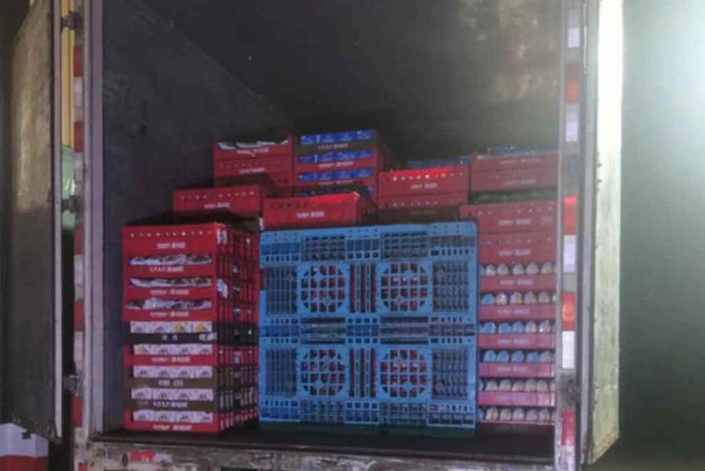 5年100万公里无大修,东北赵师傅用百万公里运输之路见证江淮1卡卓越品质! - 第4张 - 提加商用车网 5年100万公里无大修,东北赵师傅用百万公里运输之路见证江淮1卡卓越品质! - 第4张