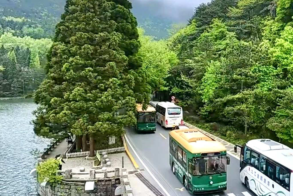 融入文旅生态 格力钛铛铛车打造庐山景区新名片