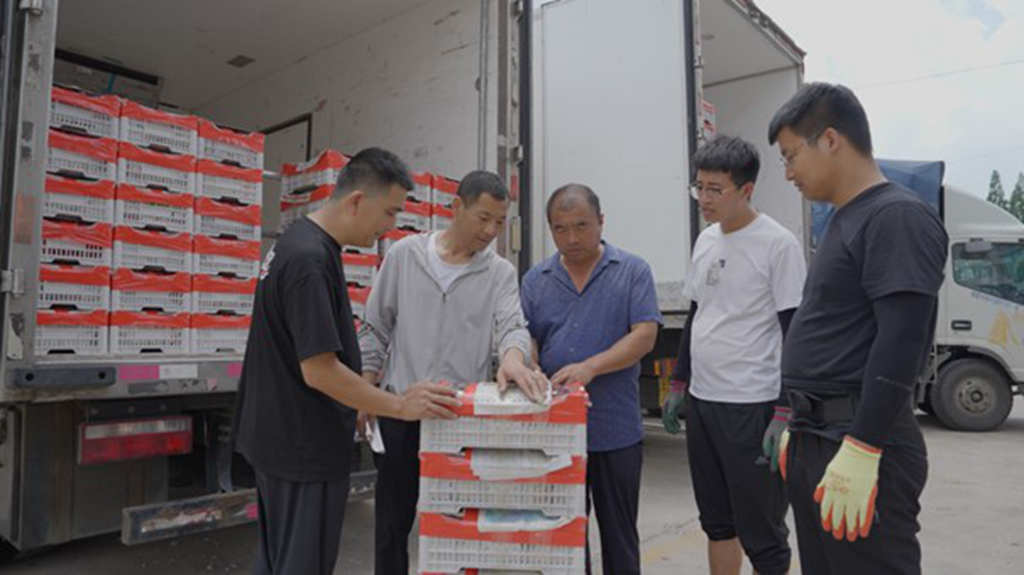 助力乡村振兴 共享物产喜悦 江淮1卡物产中国 百万同行活动走进烟台、石家庄! - 第3张 - 提加商用车网 助力乡村振兴 共享物产喜悦 江淮1卡物产中国 百万同行活动走进烟台、石家庄! - 第3张