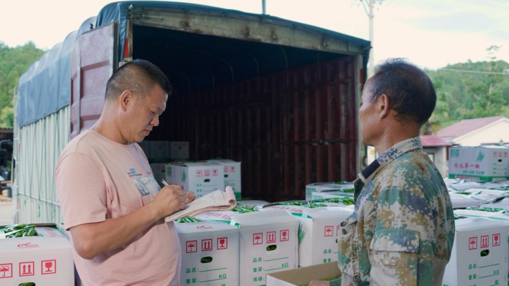 物产中国 百万同行│福建南平江师傅:“闽北第一椒”供不应求,骏铃V8跑得快行得稳,5年67万公里像新车 - 第3张 - 提加商用车网 物产中国 百万同行│福建南平江师傅:“闽北第一椒”供不应求,骏铃V8跑得快行得稳,5年67万公里像新车 - 第3张