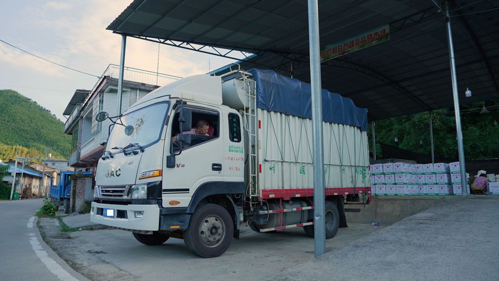 物产中国 百万同行│福建南平江师傅:“闽北第一椒”供不应求,骏铃V8跑得快行得稳,5年67万公里像新车 - 第5张 - 提加商用车网 物产中国 百万同行│福建南平江师傅:“闽北第一椒”供不应求,骏铃V8跑得快行得稳,5年67万公里像新车 - 第5张