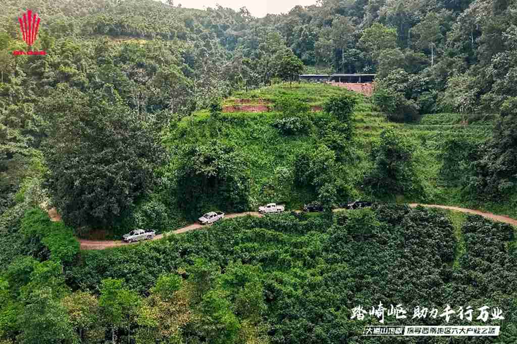 穿越丛林探寻咖啡最本真的味道，江铃大道山地版主题试驾活动落幕！ - 第3张