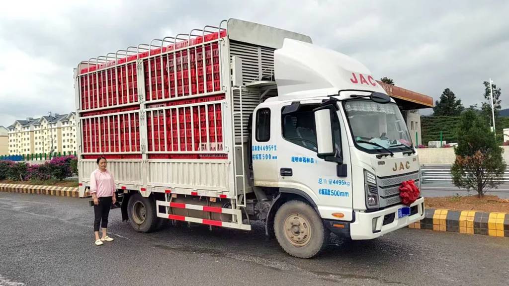 【江淮1卡车友记·三十五】云南夫妻巧致富,骏铃全程守护石林鸡运输! - 第3张 - 提加商用车网 【江淮1卡车友记·三十五】云南夫妻巧致富,骏铃全程守护石林鸡运输! - 第3张