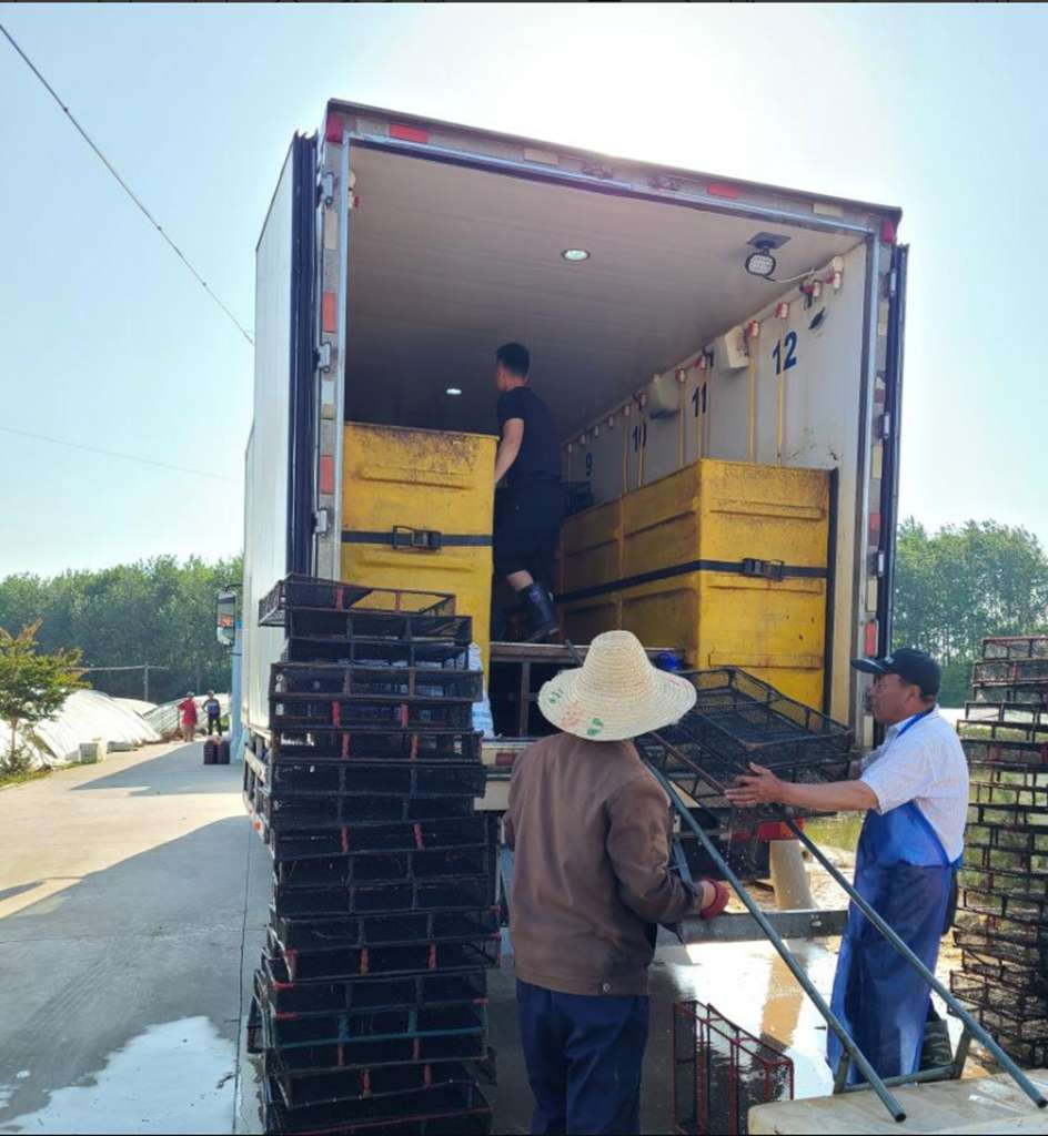 中国重汽豪沃TX7载货车:高效动力,活虾运输“鲜”行一步! - 第2张 - 提加商用车网 中国重汽豪沃TX7载货车:高效动力,活虾运输“鲜”行一步! - 第2张