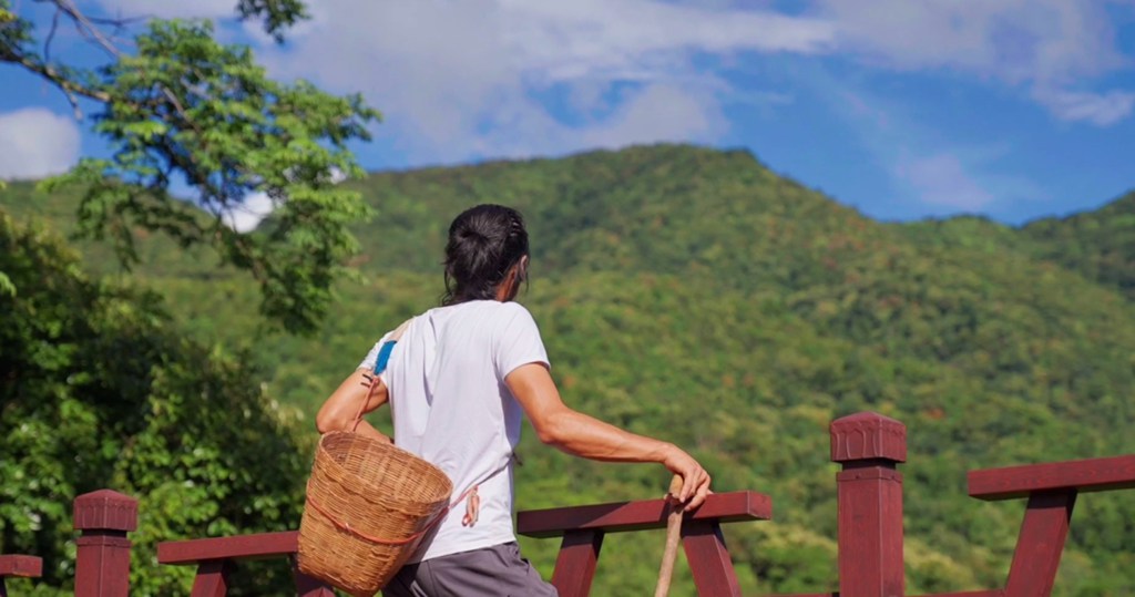 一路同行│江淮T8护茶记:一芽一叶一抹香,一人一车采茶忙 - 第4张 - 提加商用车网 一路同行│江淮T8护茶记:一芽一叶一抹香,一人一车采茶忙 - 第4张