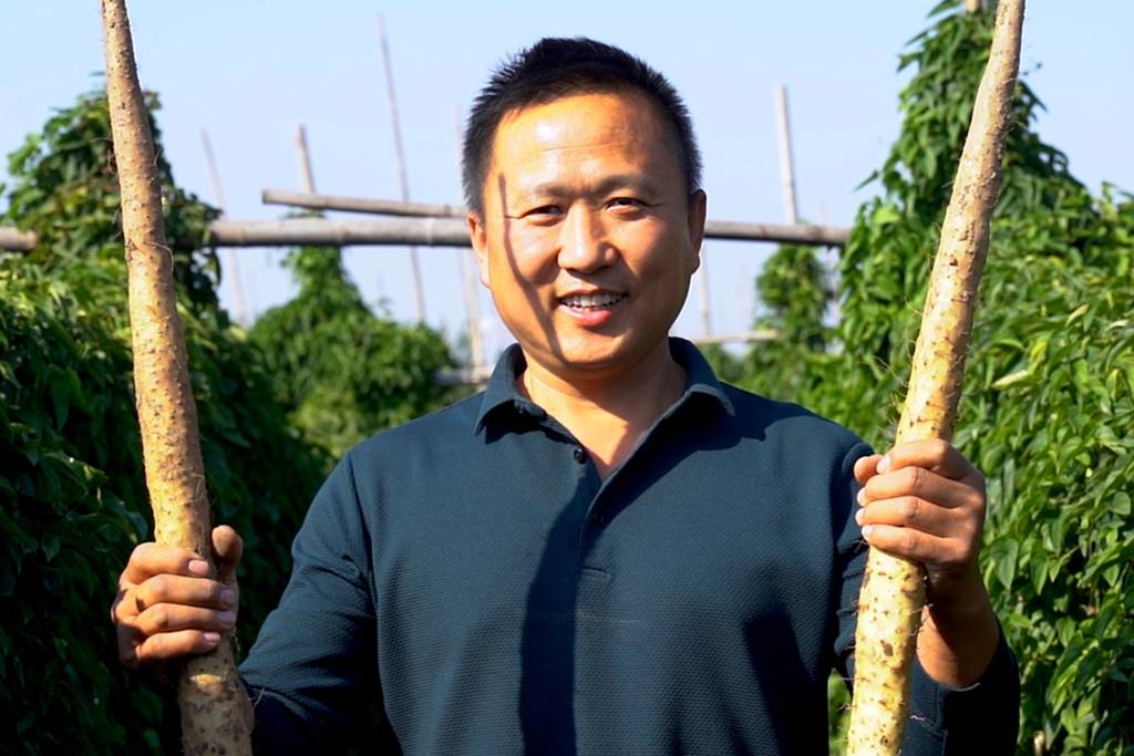 祥菱Q助力高玉峰细毛山药业务口碑爆棚 - 第1张 - 提加商用车网 祥菱Q助力高玉峰细毛山药业务口碑爆棚 - 第1张