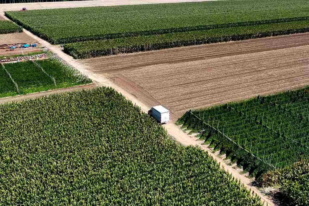 祥菱Q助力高玉峰细毛山药业务口碑爆棚 - 第4张 - 提加商用车网 祥菱Q助力高玉峰细毛山药业务口碑爆棚 - 第4张