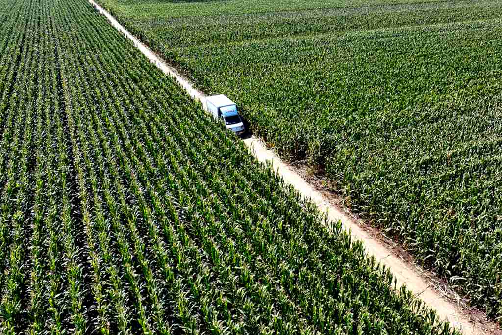 祥菱Q助力高玉峰细毛山药业务口碑爆棚 - 第5张 - 提加商用车网 祥菱Q助力高玉峰细毛山药业务口碑爆棚 - 第5张