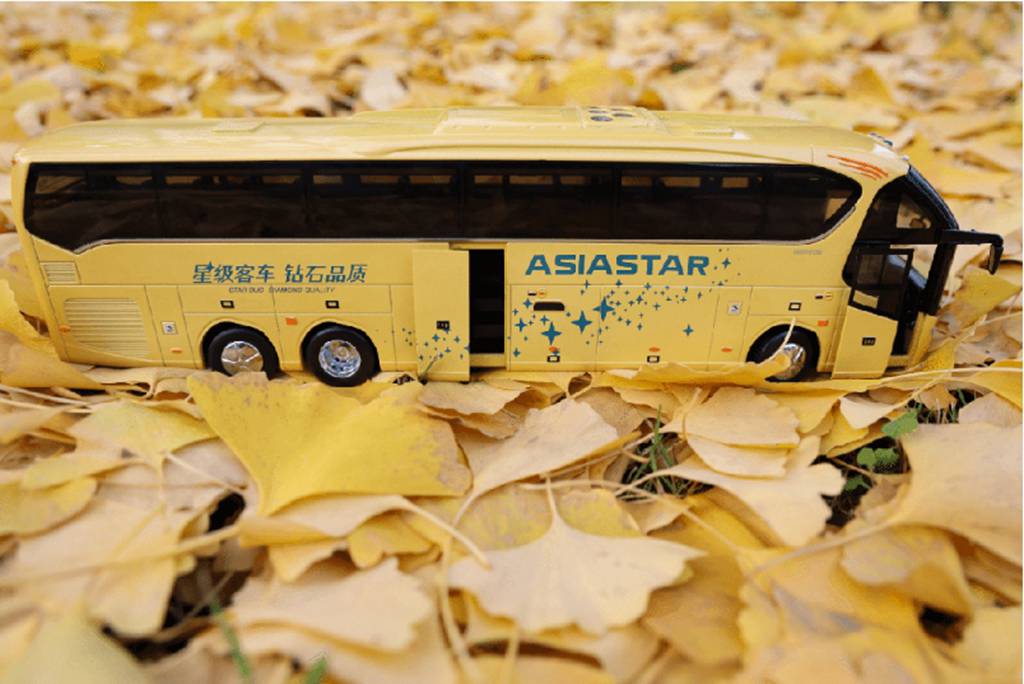 银杏叶下的温暖旅程 亚星客车与你同行 - 第5张 - 提加商用车网 银杏叶下的温暖旅程 亚星客车与你同行 - 第5张