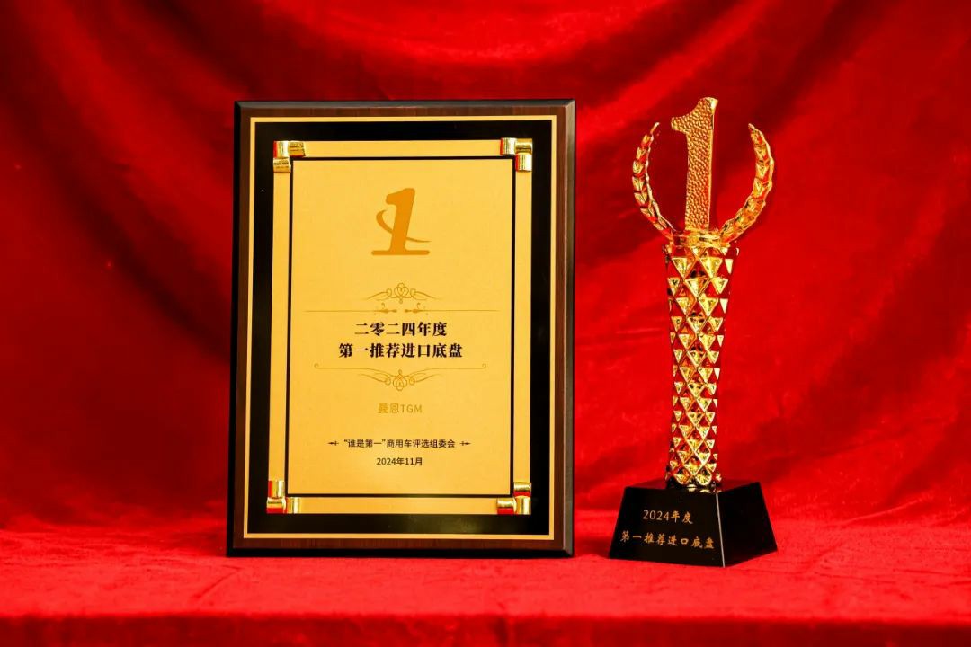 TGM获奖丨底气为基 狮力为梁 - 第7张 - 提加商用车网 TGM获奖丨底气为基 狮力为梁 - 第7张