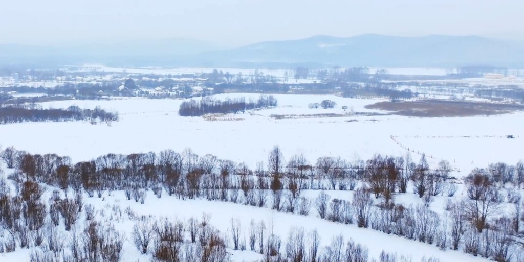【有卡有料】江淮1卡性能卓越,无惧极寒,破冰黑河 - 第2张 - 提加商用车网 【有卡有料】江淮1卡性能卓越,无惧极寒,破冰黑河 - 第2张