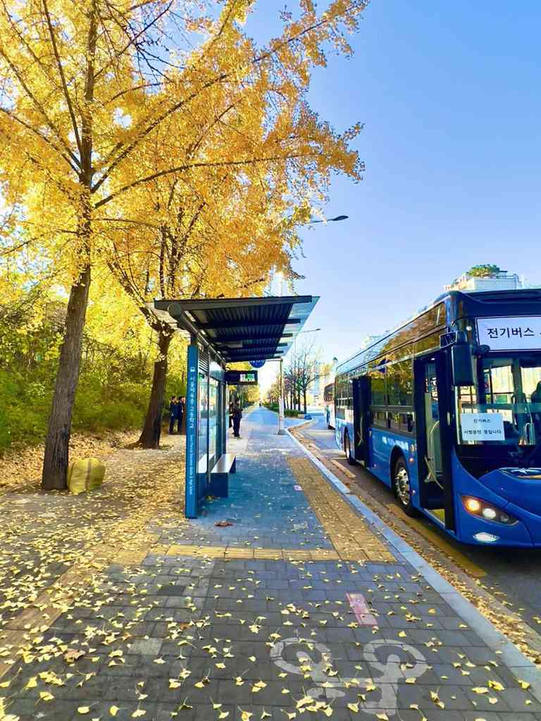 岁末年初再发力,微宏电池助力韩国城际交通开启绿色新篇章 - 第3张 - 提加商用车网 岁末年初再发力,微宏电池助力韩国城际交通开启绿色新篇章 - 第3张